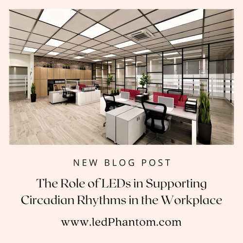The Role of LEDs in Supporting Circadian Rhythms in the Workplace