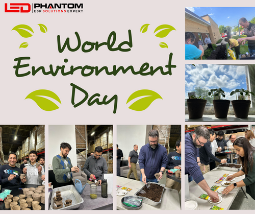 Celebrating World Environment Day: Empowering Employees to Sow Seeds and Nurture Plants