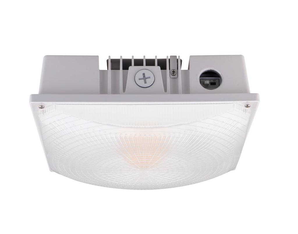 LED CANOPY / GARAGE FIXTURE (KODIAK G)