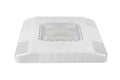LED PETROLEUM CANOPY LIGHT (LYNX B)